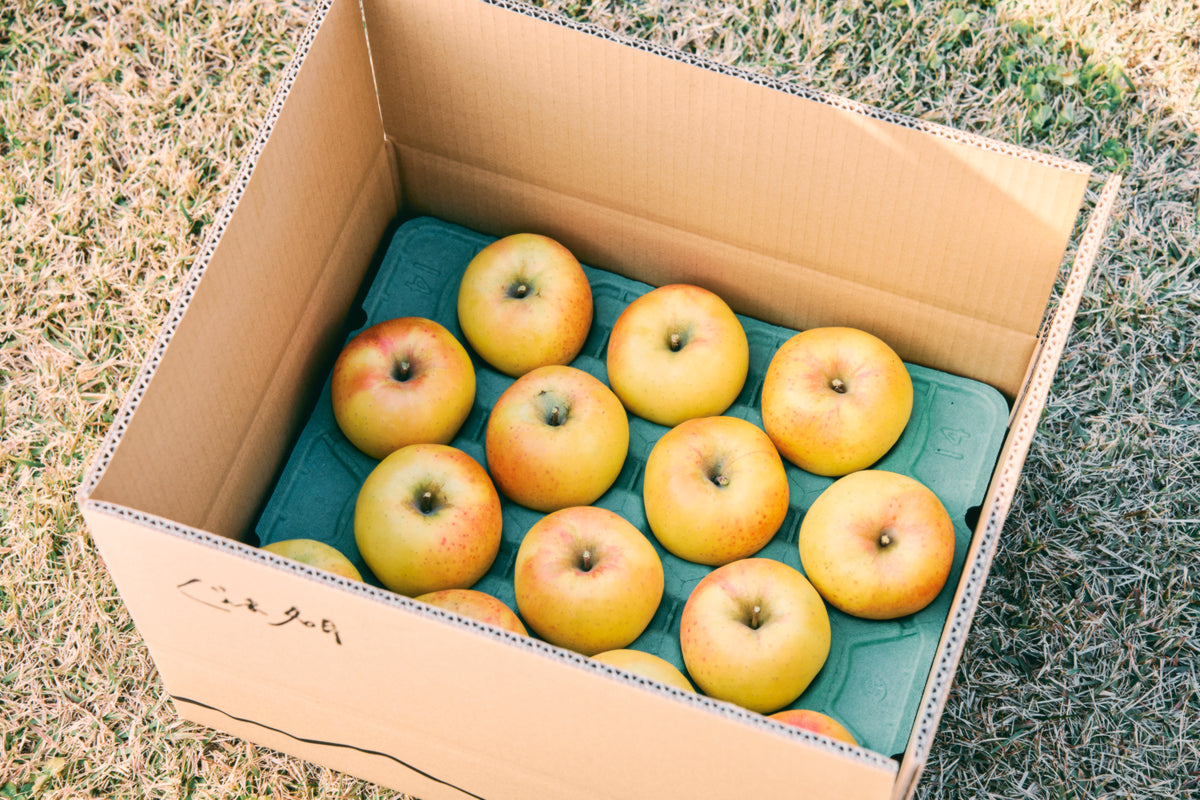 ぐんま名月 10kg【予約販売/11月中旬頃発送予定】 – 山とりんご